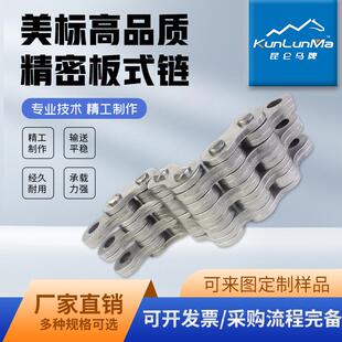 LH24 链高升链升提链重载型链条条节距38.1ZQE品质保障 BL12板式