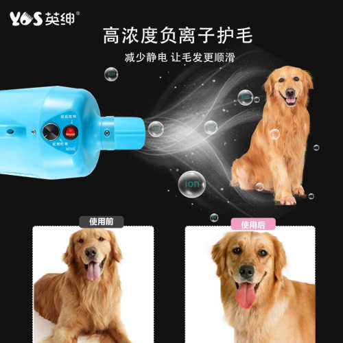 英绅宠物吹水机2400W大功率静音狗狗猫咪快速吹毛烘干美容店家用