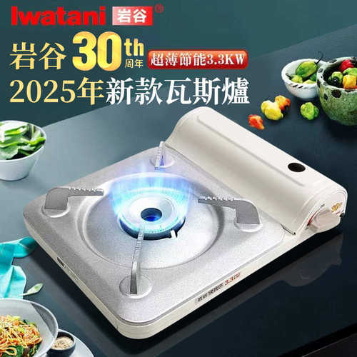 新款岩谷猛火3300W卡式炉户外便携烧烤炉卡斯炉家用瓦斯炉ZB-29S
