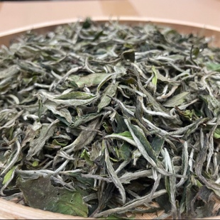 福鼎白茶2021年特级贡眉花香小菜茶白牡丹北路老白茶散茶500克