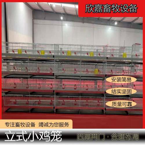 立式四层两门小鸡笼育雏鸡笼冷镀锌后热镀锌家用养殖场鸡舍专用