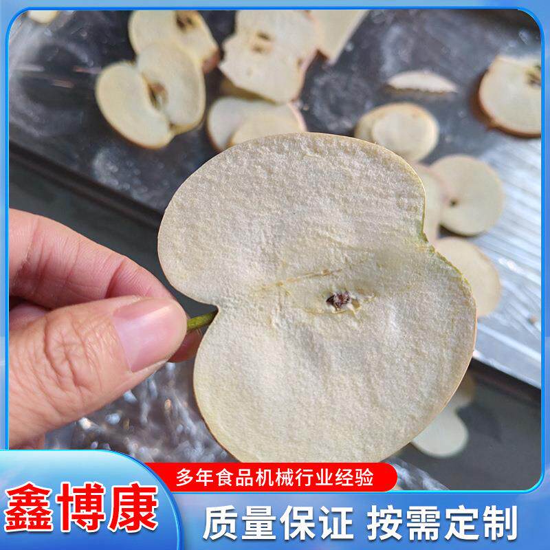 苹果片真空冻干机宠物食品真空冷冻干燥机1平方果蔬冻干机厂家