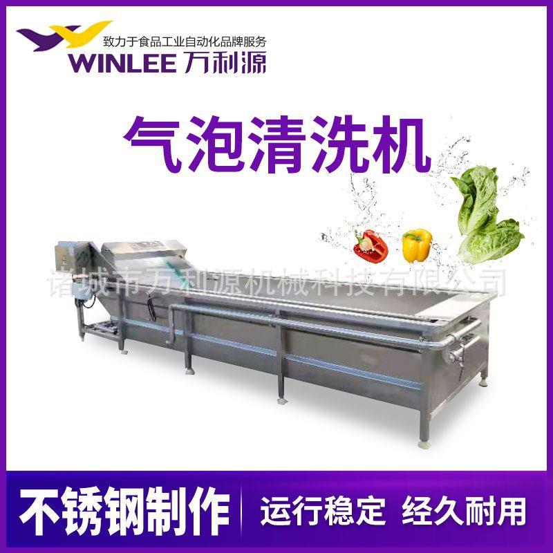 蓝莓西梅清洗机 西红柿大姜气泡清洗设备 预制菜净菜加工流水线