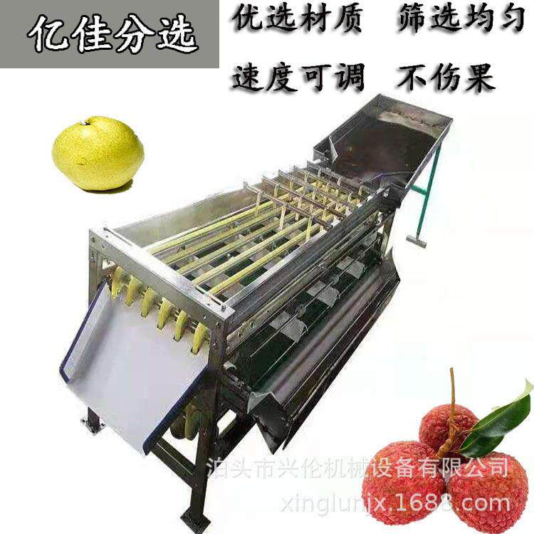脐橙分级机核桃分拣机李子分果机樱桃选果机小型水果分选机器