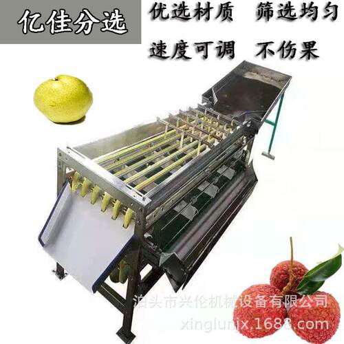 核桃分级机黄桃选果机不锈钢材质底仓出料可调节不伤果分选机