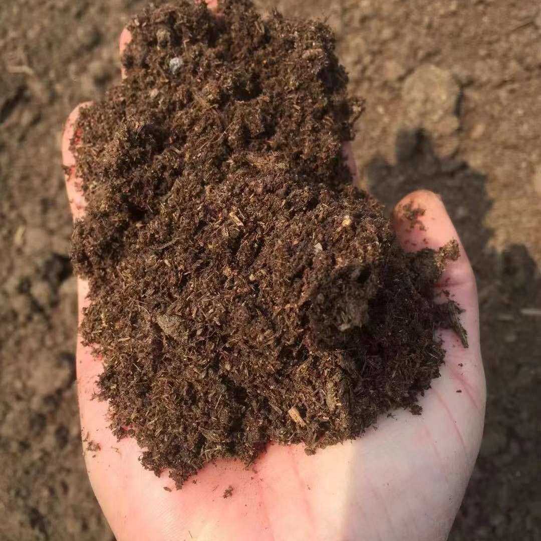 土壤羊粪有机质提高产量发酵 羊粪50改善一吨 有机肥高温%有机肥