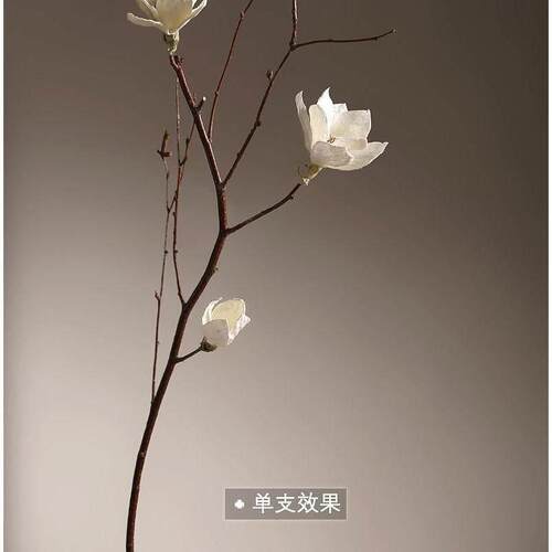 客厅落地天然玉兰干枝干花花束干支干树枝树装饰玉兰花仿真花卧室