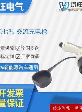 新能源电动汽车充电器桩国标交流充电枪头公头多孔16A/32A