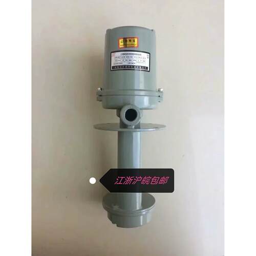 AYB25（TH，G）南通远东微特（海日机电）俊特泵 125W