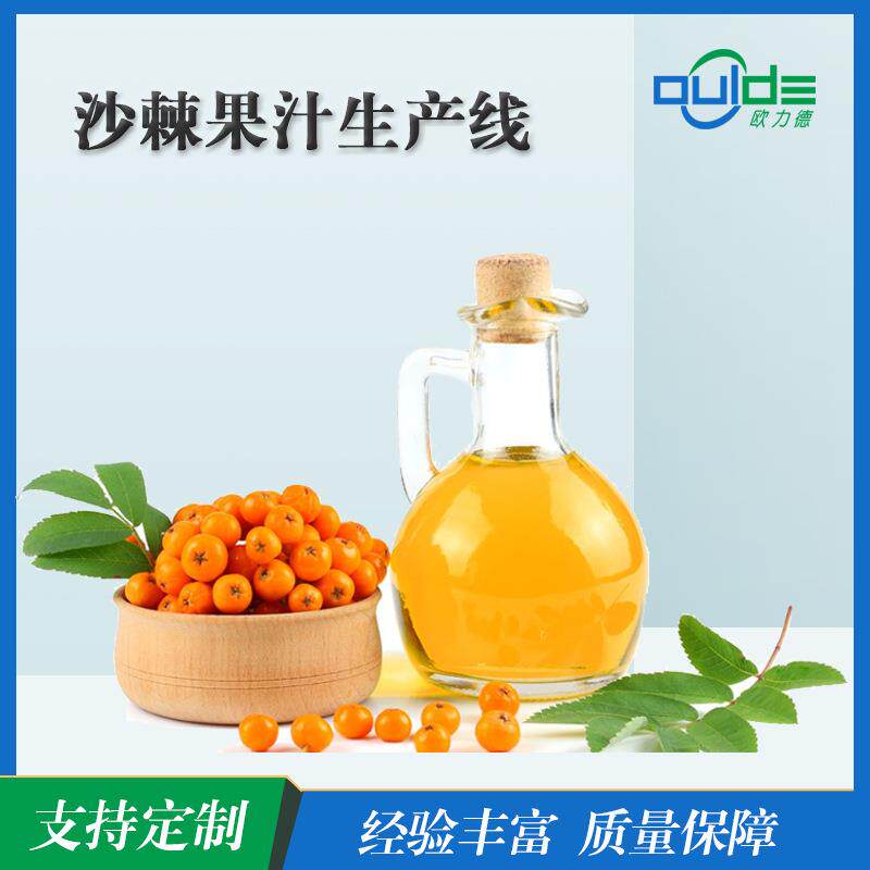工厂直供大小型果汁饮料水果酱沙棘果汁全自动生产线