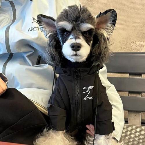 宠物狗狗衣服秋冬款雪纳瑞冲锋衣泰迪法斗博美酷帅加绒始祖狗棉服