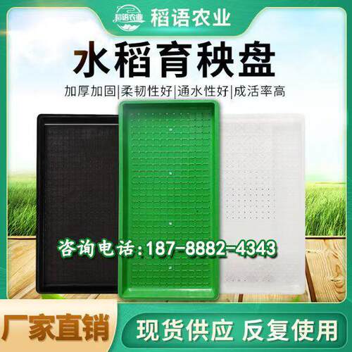 新升级硬质PP新款加厚水稻育秧盘育苗盆钵体盘蓄水盘育秧工厂