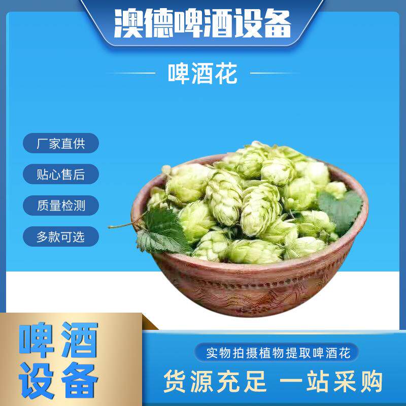 厂家直供啤酒原料酒花扎啤鲜啤酿酒原料啤酒酒花酵母啤酒发酵原料