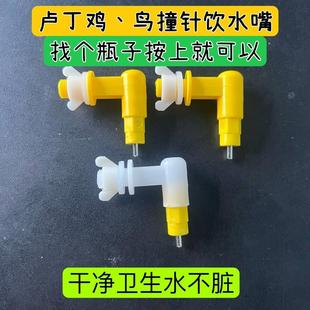 宠物鹦鹉撞针饮水器铜弯头鲁宾水嘴芦丁鸡文鸟八哥撞针饮水头配件