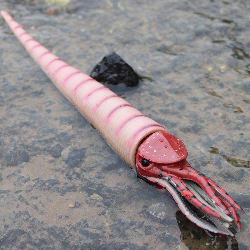 儿童仿真远古时代动物玩具模型直角石史前海洋生物奥陶纪奇虾鱼龙