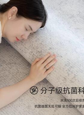 地毯客厅2024新款简约代灰色滑防卧水防免洗可擦地垫室床qr181102