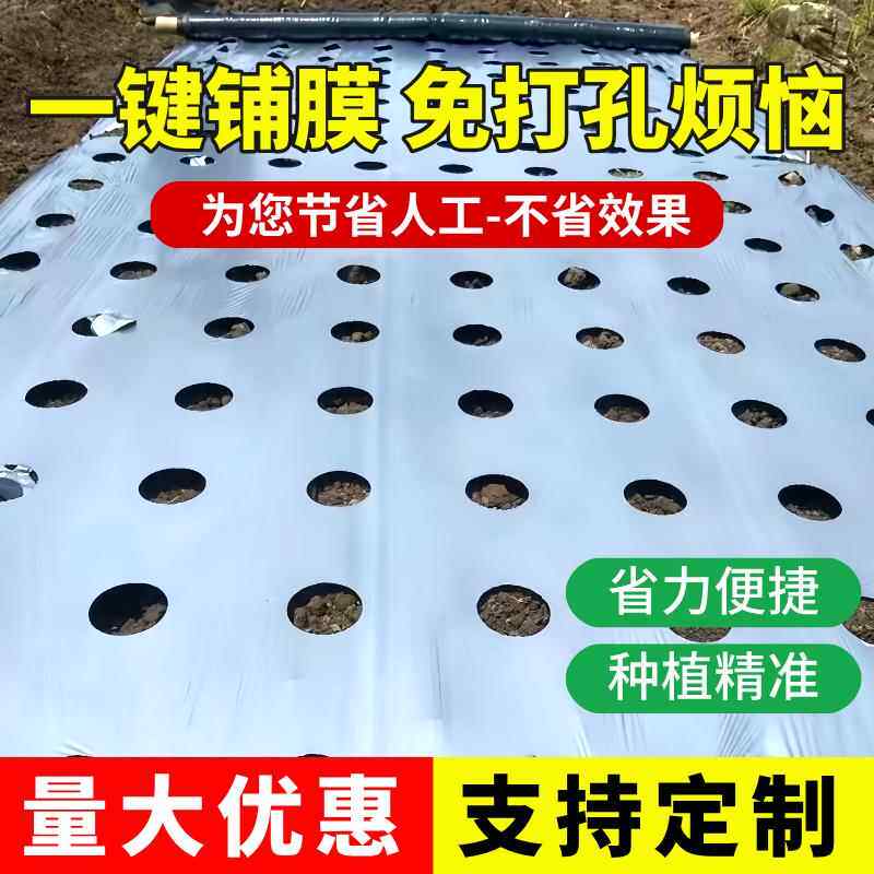 塑料袋定制打孔透气果园地膜农用种植种菜专用塑料薄膜防草