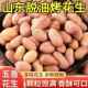 山东五香烤花生米官方旗舰店下酒菜脱油多味零食小吃炒货开袋即食