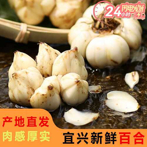 湘乡新鲜大片百合鲜百合微苦回甘农家自产自销食用