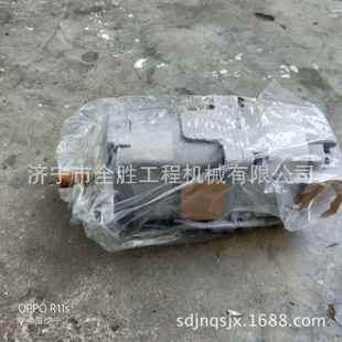 风C8AT330挖掘机扇RDO泵194 384