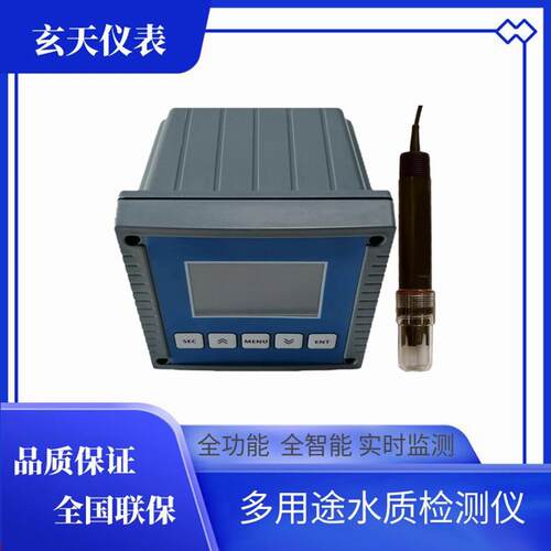 水质在线氟离子监测仪工业污水企业废水氟离子浓度检测仪FT-7000