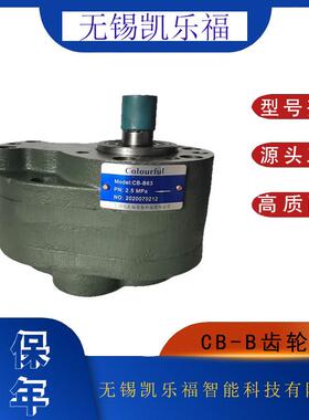 润滑泵CB-B40 齿轮泵 输油泵CB-B25