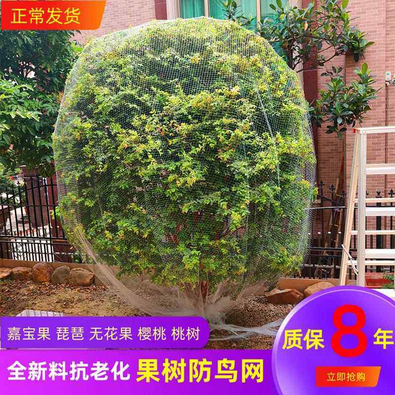 果树防鸟网罩无花果樱桃网防鸟用的网果园尼龙纱网防护罩葡萄蔬菜
