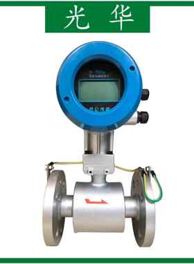 上海光华 LDY-S 一体式电磁流量计 海水污水废水计量表 自来水表