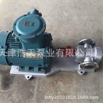 高密度聚乙烯齿轮泵ELRIN 海酸水 淡水 污水 535废水 碱液齿体轮D