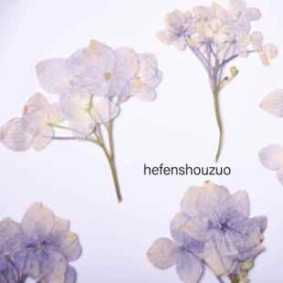 带枝原色绣球干花 手捧花真花押花 火漆印章diy材料滴胶手机壳