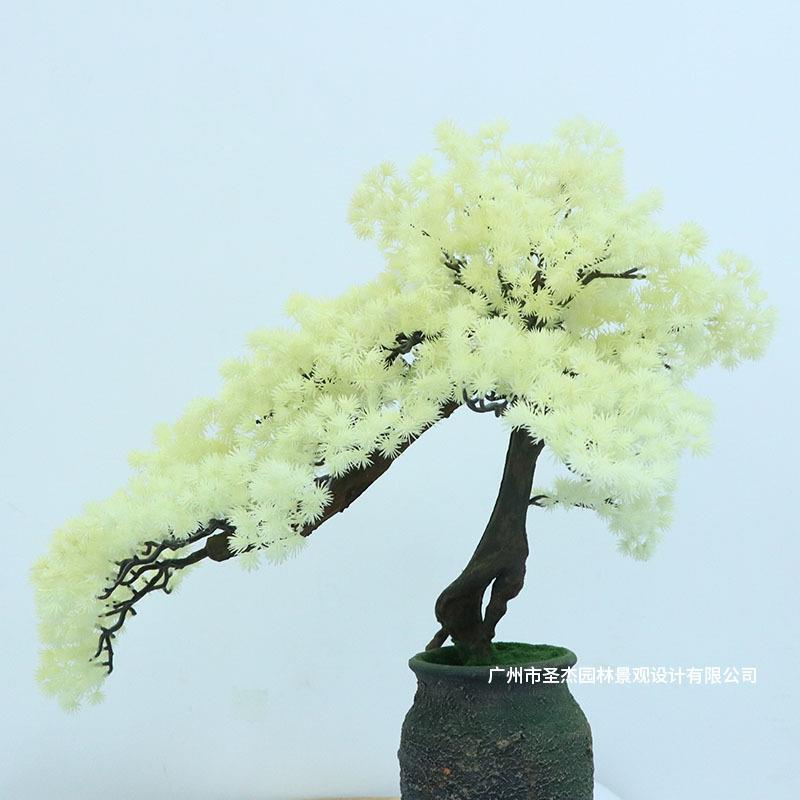 仿真米白幼松盆景摆件仿真植物中式仿真迎客松别送客厅书房装饰品
