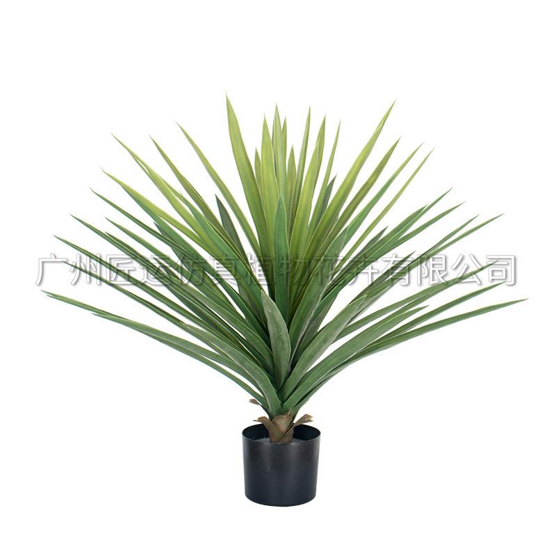 仿真绿植剑麻龙舌兰仿生热带沙漠植物剑兰橱窗装饰盆栽室内布造景