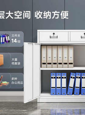 二斗铁皮柜矮柜办公室分体式文件柜带锁抽屉资料小型阳台工具柜子