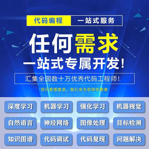 python代码程式设计深度学习机器学习算法代码指导调试爬虫程序接