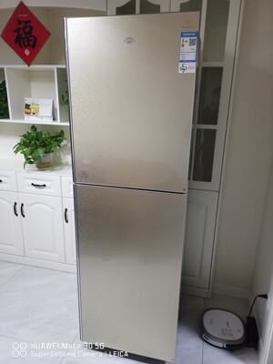 尊贵bcd-251c铜管钢化玻璃冷冻面板选择误区，需要注意这五点