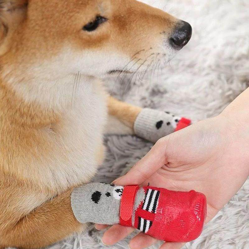 狗狗鞋子春秋小型犬防脏脚套小狗鞋子防水防掉泰迪不掉脚袜子四季,宠物/宠物食品及用品,宠物鞋子,淘宝优惠券,粉丝福利购,淘宝优惠卷