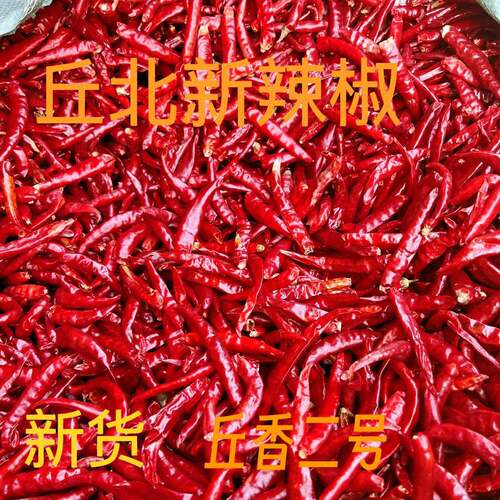 干辣椒正宗云南丘北香辣子特产微辣餐饮商用红辣椒