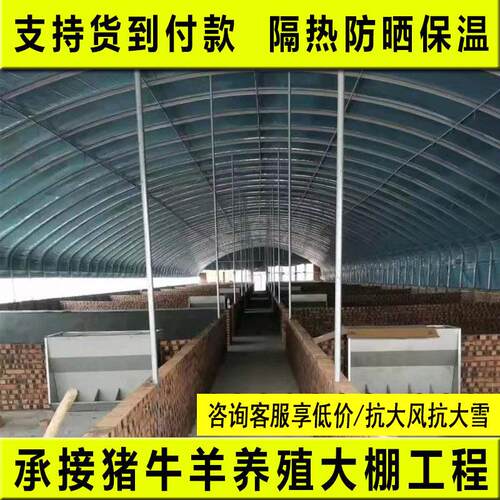 养殖大棚全套椭圆管大棚钢管骨架养鸡鹅鸭牛羊舍猪圈温室大棚搭建