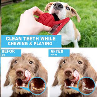 high 12Pcs quality Toy Large Sets Dog Rope for Toys Chew