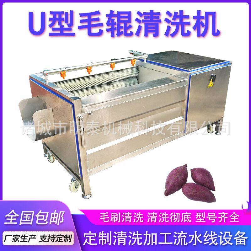 螺蛳海螺U型毛辊清洗机材元胡清洗设备猪蹄羊蹄清洗去杂机器