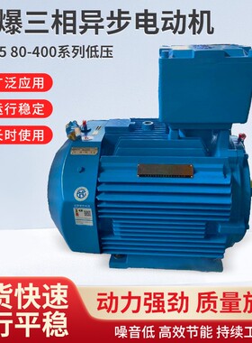 爆团防爆-YBX580-400系列低压超高效隔爆三相异步电动机IE5能效