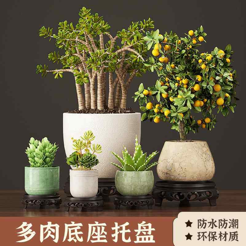 托盘多肉摆件古董奇石佛像底座茶壶托花瓶花架带办公室绿植盆景