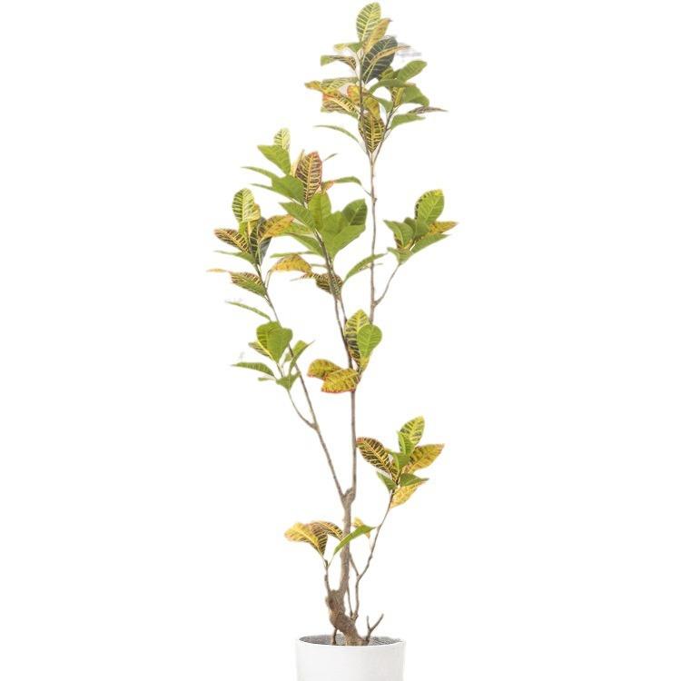 仿真绿植大型落地洒金榕橡皮树假盆栽植物盆景变色木摆件仿真盆景
