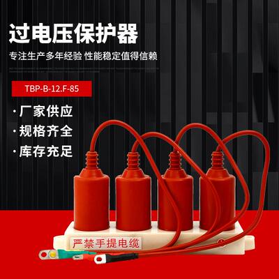 10-35KV过电压保护器TBP-B/12.7/131/85/42F/310/200/400W1/630W2