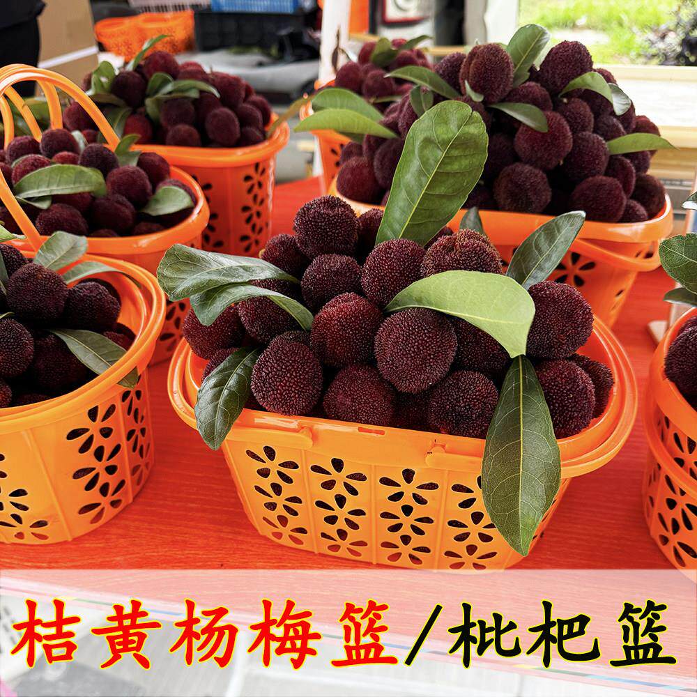 桔黄色枇杷篮水果草莓桃子采摘手提收纳框塑料实底新料23-4-5斤