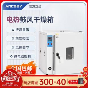 艾析电热鼓风干燥箱实验室真空小型烘干机高温烘箱恒温工业用烤箱