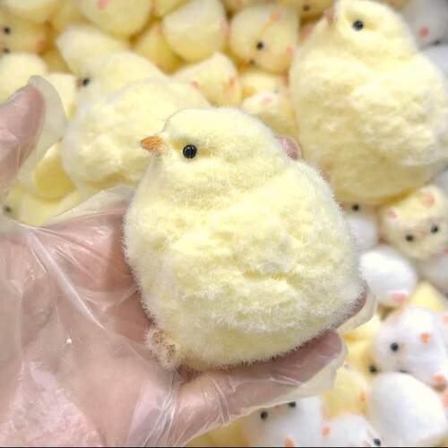 小鸡Taba湿软玩具超软挤压坐立不安Rua泥鸡