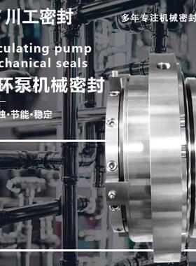 强制循环泵机械密封泵型号:ZWQEMZ-500-B1-650WQEMZ-600-B1-510