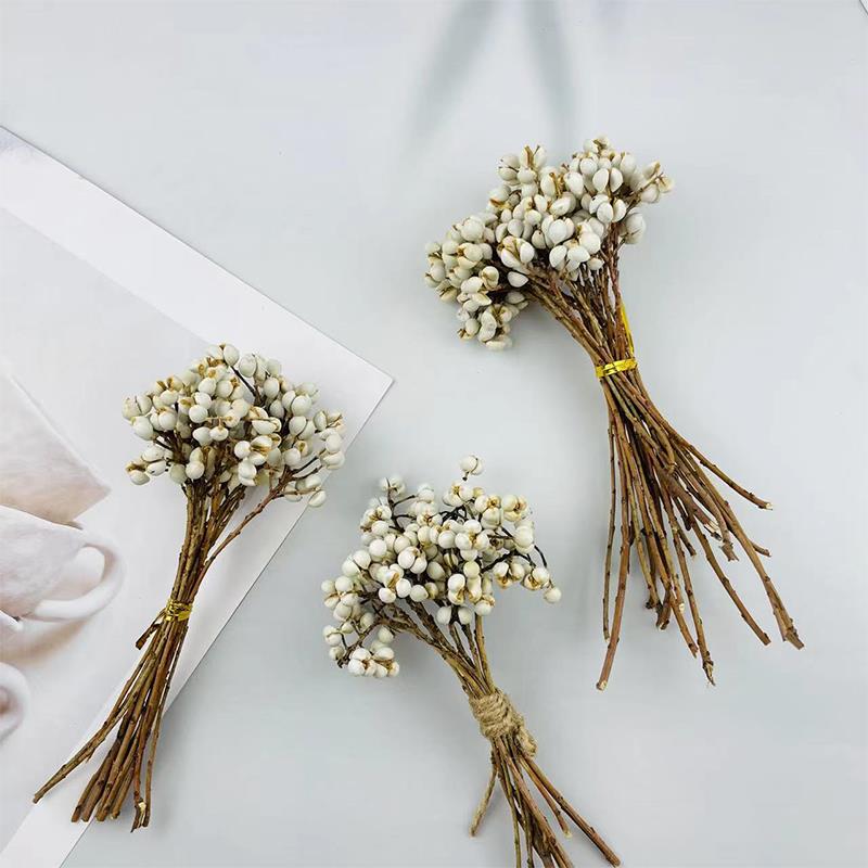 小白果乌桕果干花装饰北欧风花束圣诞干花DIY香薰蜡烛干花配材
