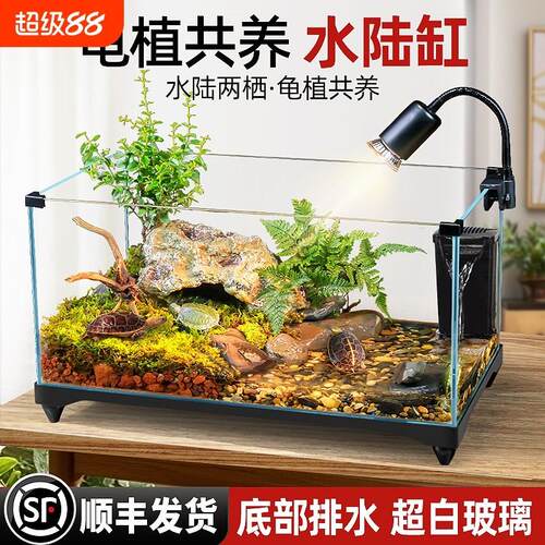 乌龟饲养缸生态造景家用玻璃缸小型水陆两用养鱼缸专用缸客厅换水